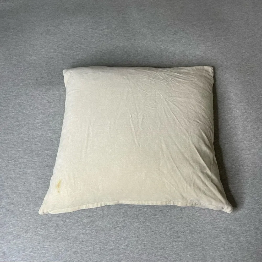 IKEA Fjadrar 20”x20” Inner Pillow & Sanela Cushion Pillow Case 2 PCS. Set